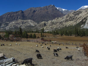 Kathmandu to Manang & Tilicho Lake Tour – 11-Day Itinerary