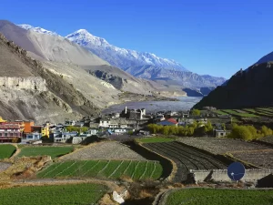 Cultivated field in front of Kagbeni Village in Mustang with blue sky and snowcapped mountain at background.